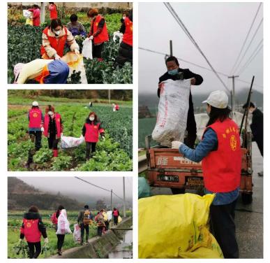 又是一年春来早家乡景色,又是一年春来早万物逢春在今朝