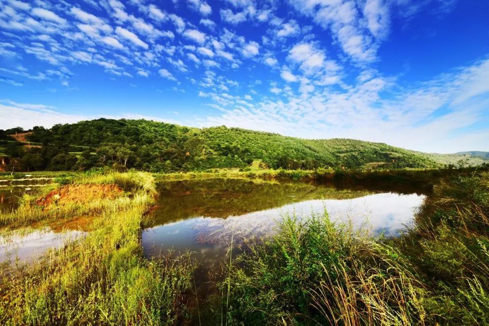 陕西延安黄土高原在哪看,延安在黄土高原上的位置