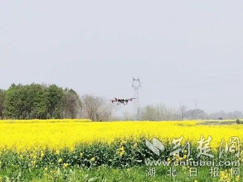 已全面掀起春耕备耕热潮,湖北农机促春耕视频