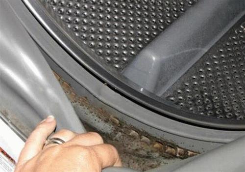 回南天除霉神器,回南天除霉剂