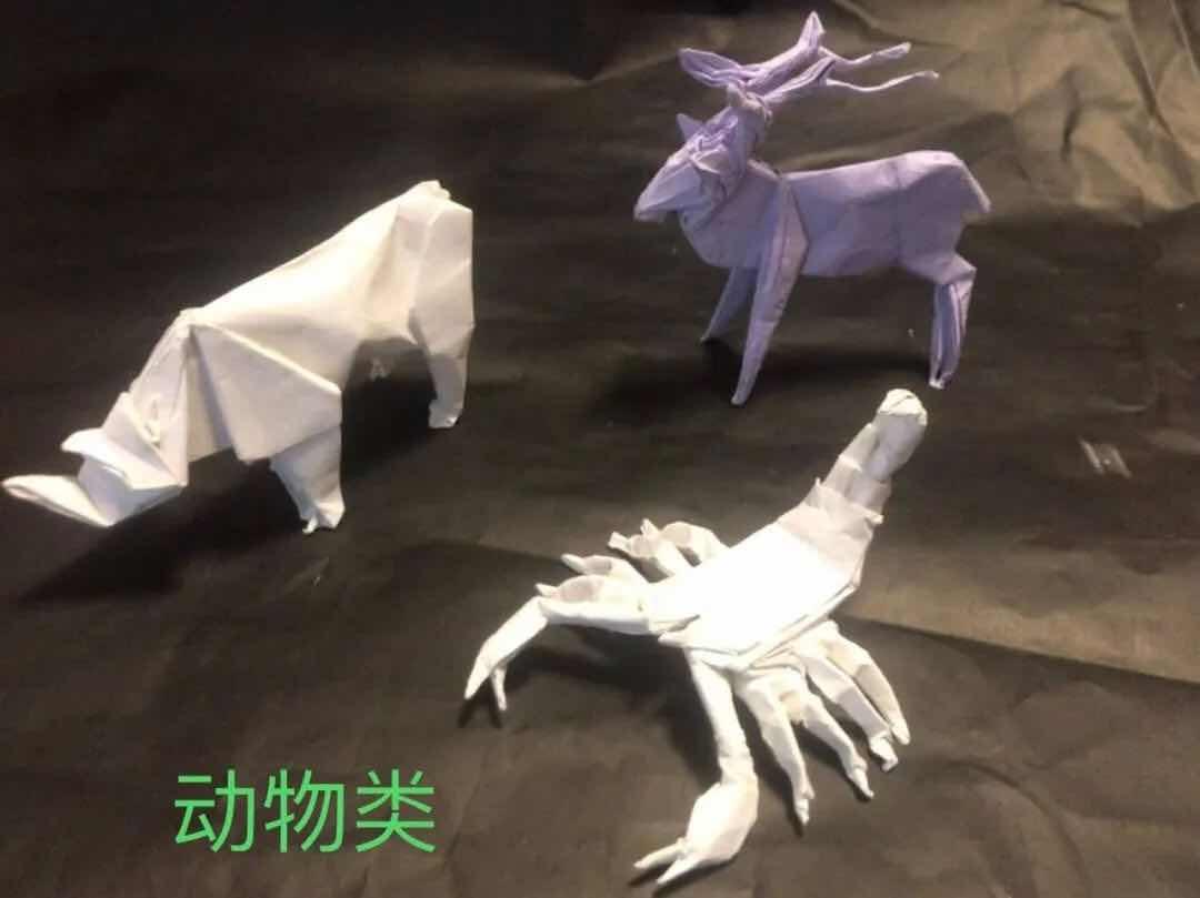 小学生校庆手工折纸,小学折纸一等奖