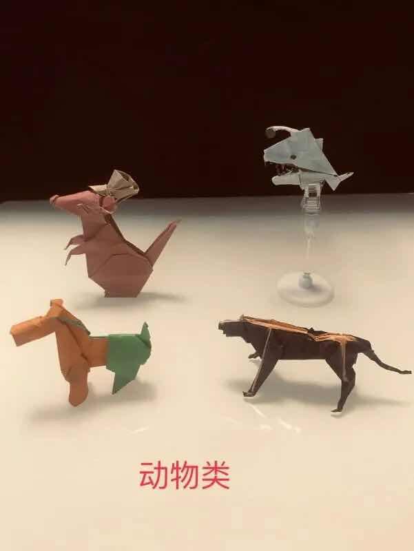 小学生校庆手工折纸,小学折纸一等奖