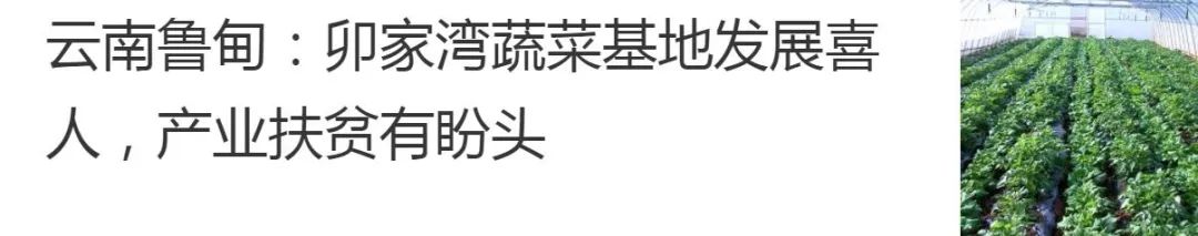 昭通市中小学开学最新通知,昭通封闭学校初中什么时候开学