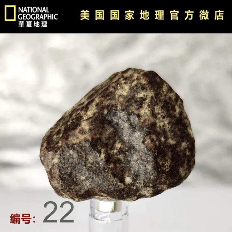 人参大战莱菔子,人参大战灵芝