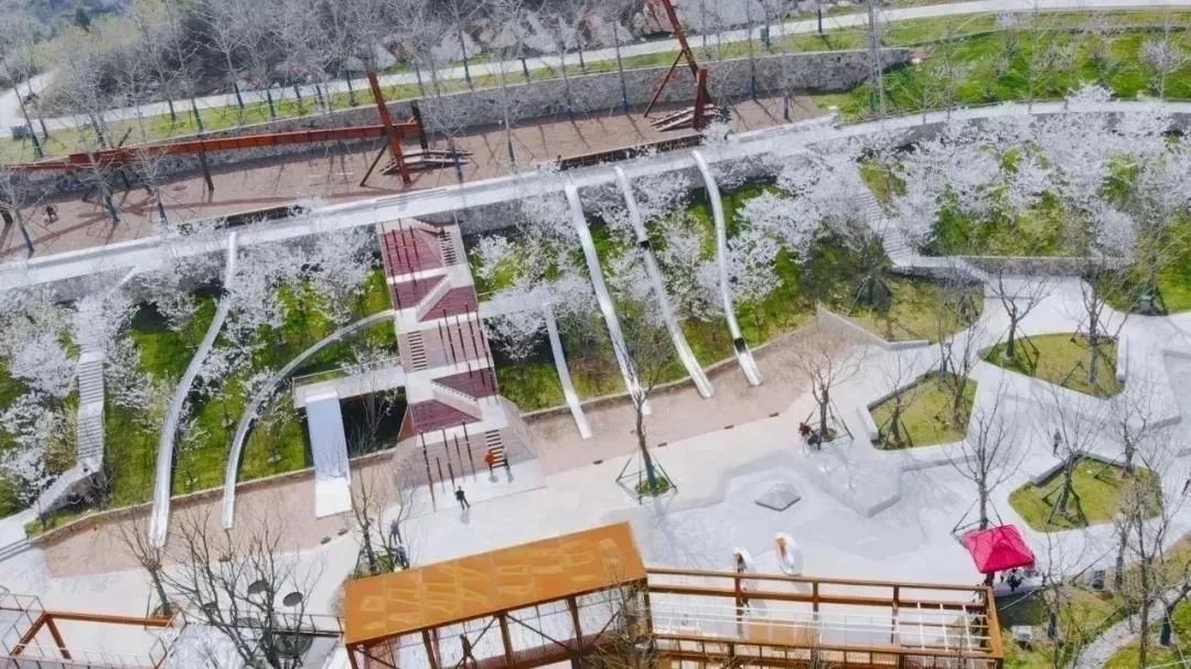 南京赏花地图请收好,江宁赏花好去处