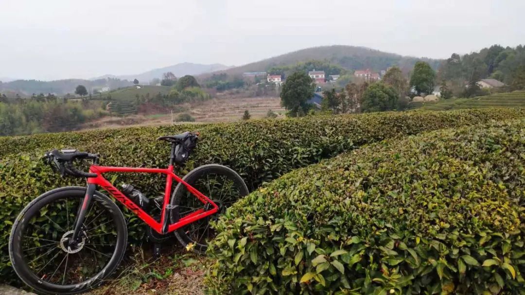 1千到2千的碟刹公路车,10000左右油压碟刹公路车