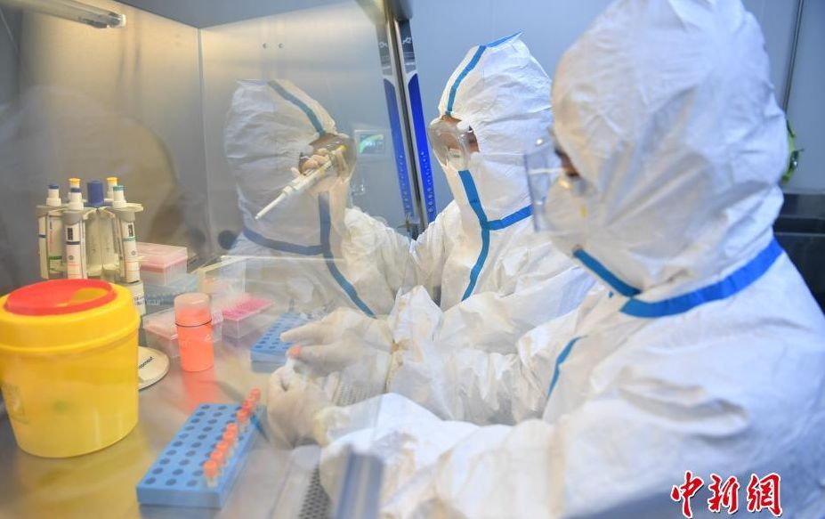 健康码基本实现全国通行；我科学家精准“删除”动物特定记忆丨科技早新闻