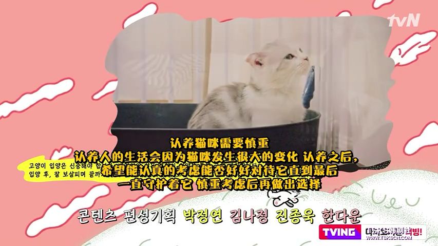 你喜欢的是他的容颜还是灵魂,你是爱她的皮囊还是灵魂