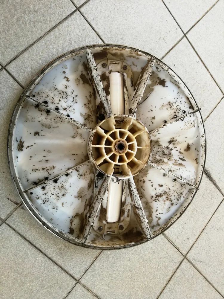 你不知道你家的洗衣机有多脏,你家的洗衣机有多脏你知道吗