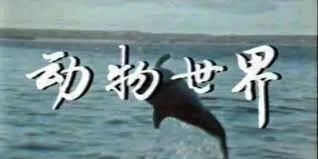 涓婁笘绾渶娴佽鐨勭數闊宠开鏂,灏忔椂鍊欒娲楄剳鐨勮开鏂绁炴洸