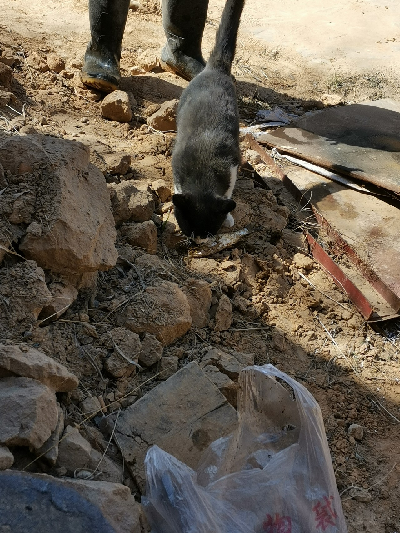 等待春暖鱼开口，先给蚯蚓安个家