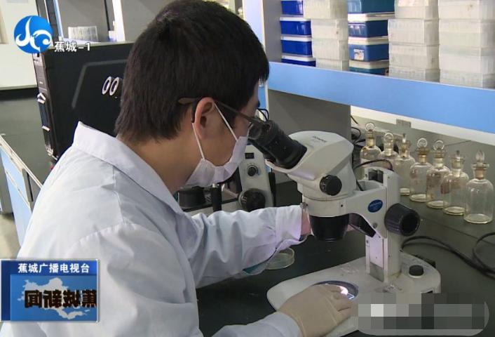 春季大黄鱼病害问题如何防治？别急，省农科院专家为您支招