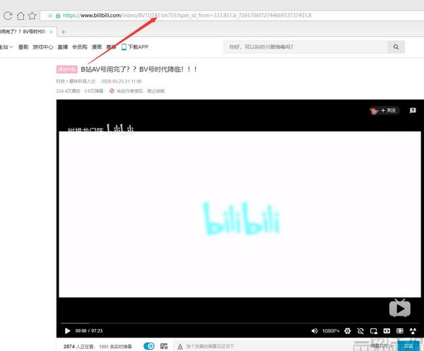 b站av号与bv号,b站av号和bv号