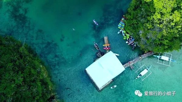 菲律宾最好的冲浪地点,菲律宾哪里适合冲浪