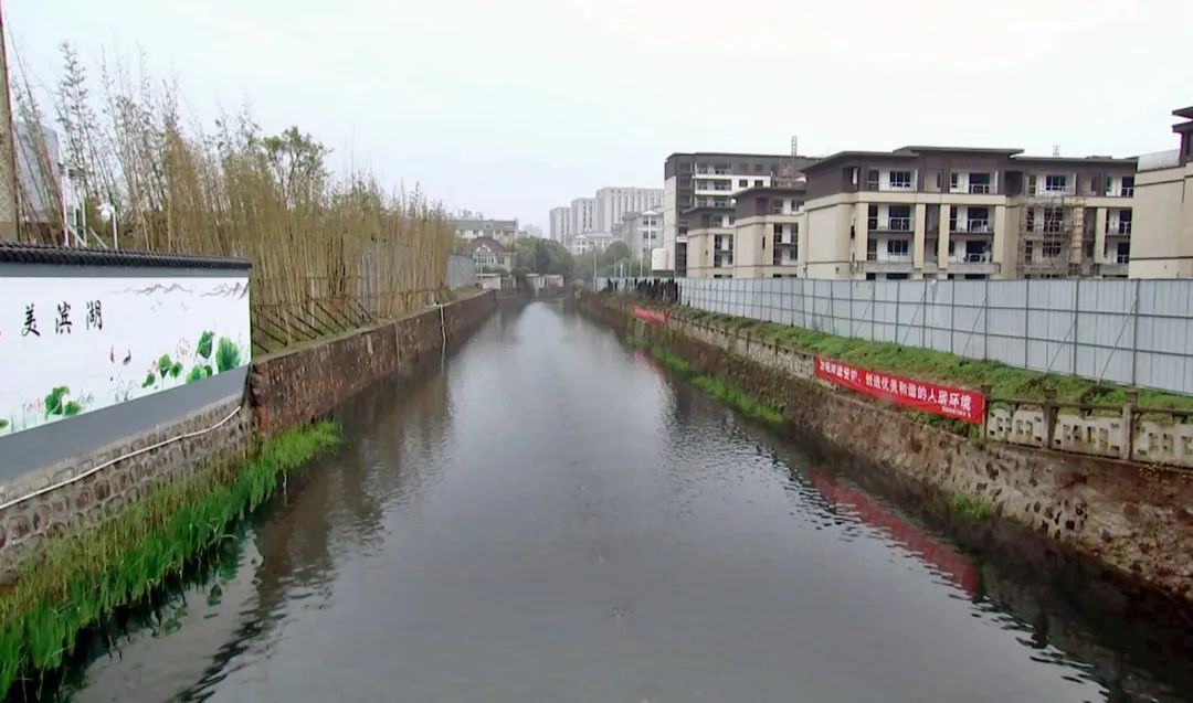 黄钦发言,黄钦谈无锡发展