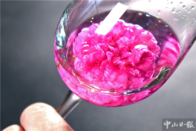 时令的味道,时令的味道完整版