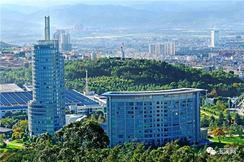 诗情画意文峰路,诗情画意岩茶