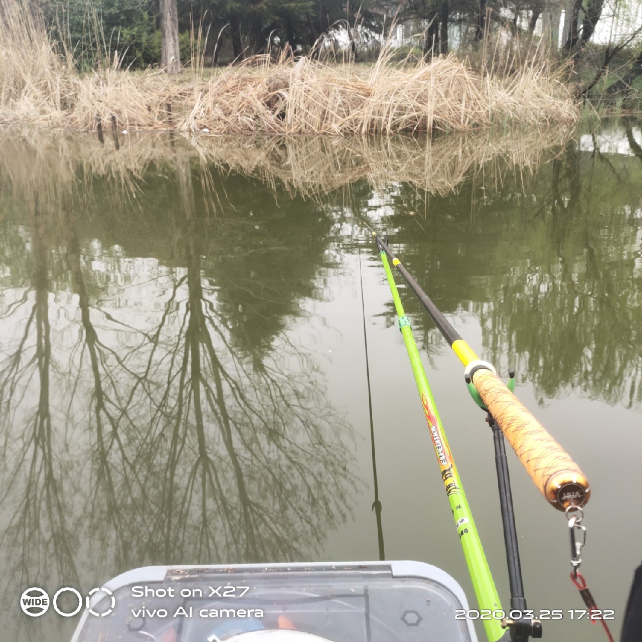 夜钓1号爆护位，人家鲤鱼爆护，我鲤毛未见