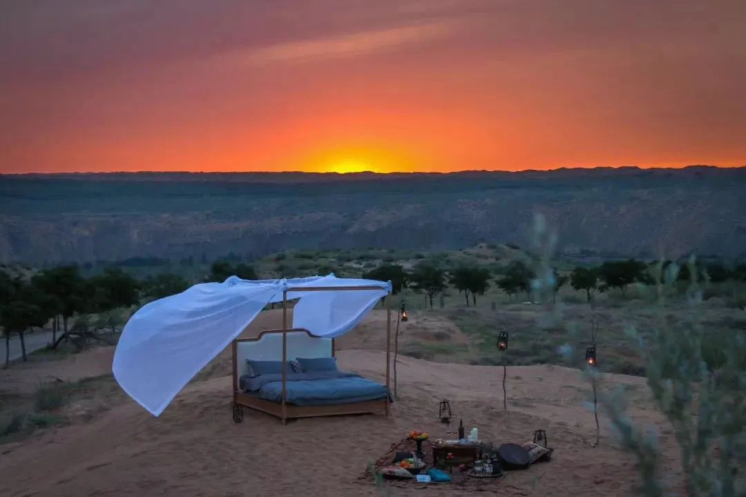 沙坡头骑骆驼游记,宁夏沙坡头旅游攻略