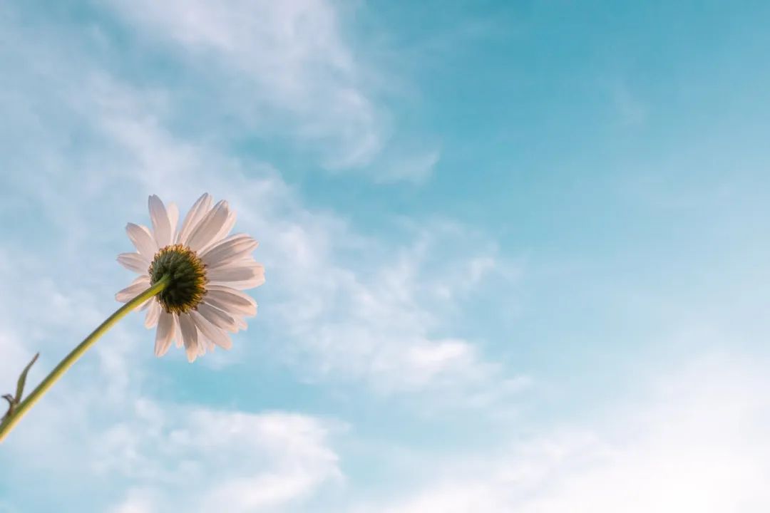 更年期女性调理雌激素的好药物,雌激素治疗更年期多久见效