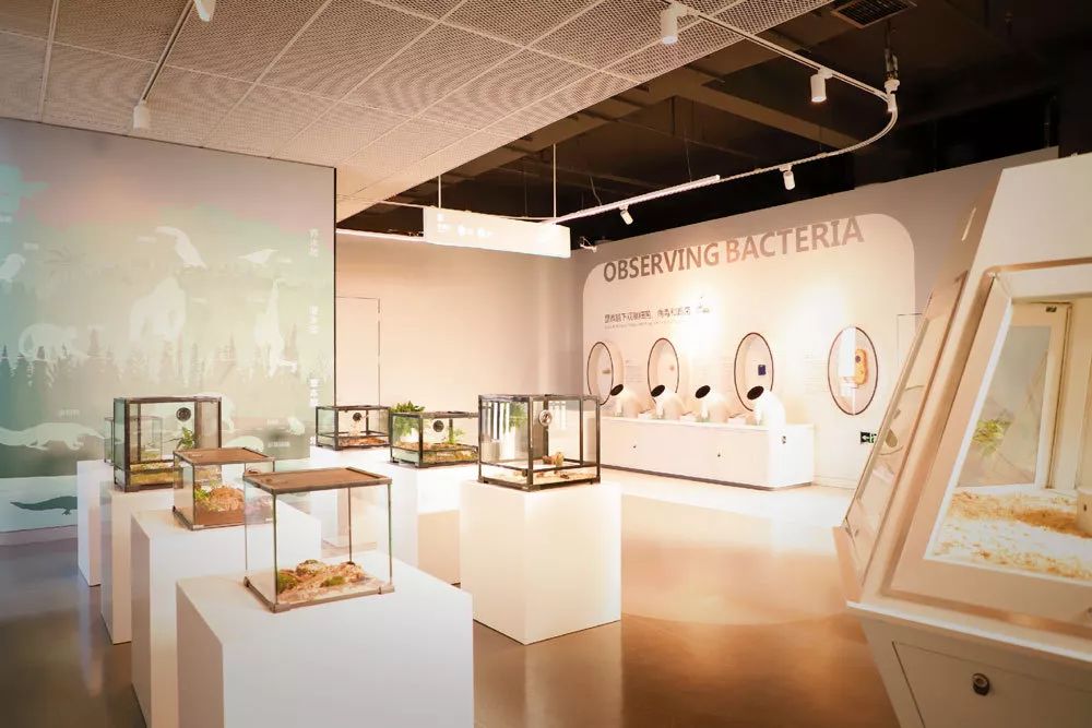 海信科学探索中心门票亲子票,海信科学探索中心门票直播