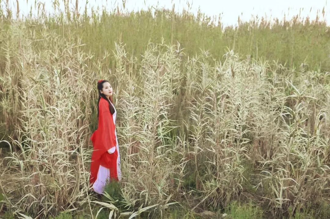 青山绿水一幅美丽的山水画,山清水秀世外桃源彩墨山水画