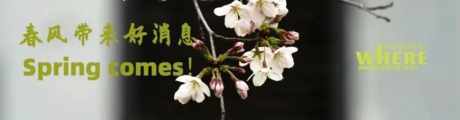 【双语】Shh,thebookcouponsarecoming遍布郑州的书“券”气