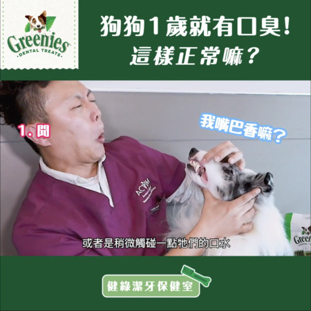 9岁狗狗超级严重牙结石,狗狗十大疾病及治疗方法