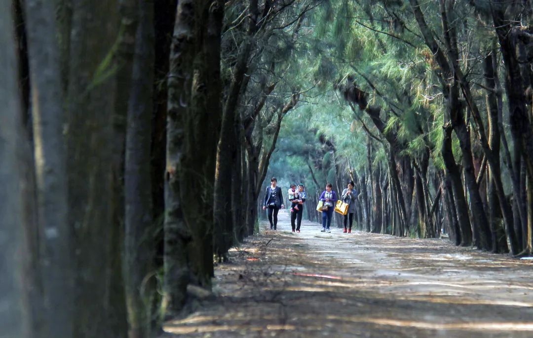 泉州游玩露营攻略路线,福建泉州自驾游带孩子最好去处