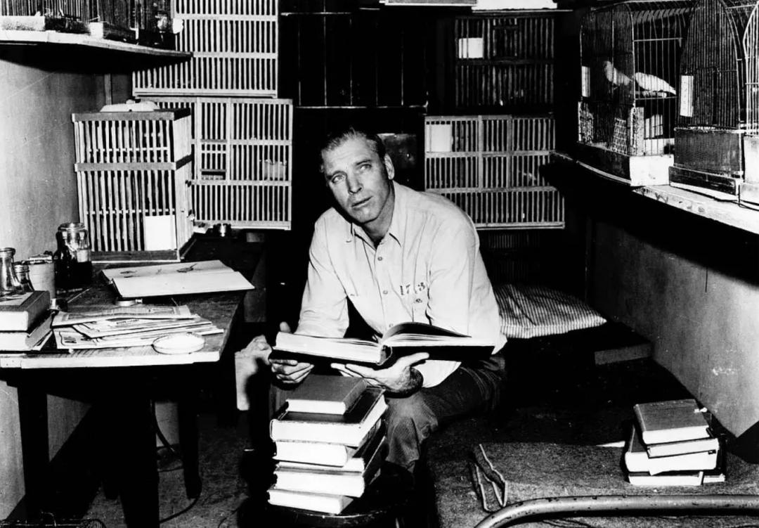 鲍勃迪伦演唱会blowinginthewind,鲍勃迪伦27首精选