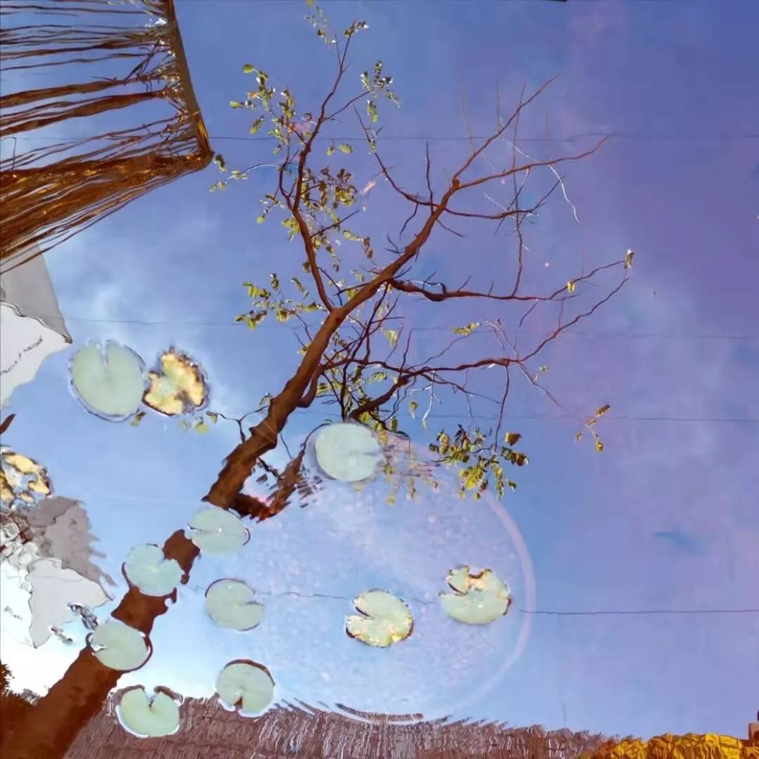 无为而为的浪漫，不得不去的墨西哥在召唤