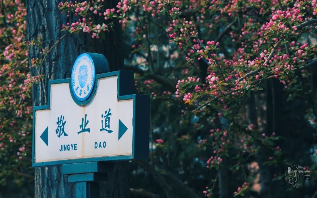 大海棠壁纸,大小海棠手机壁纸