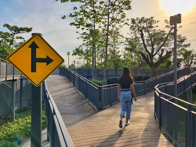 在泰国曼谷生活视频,生活在清迈的真实感受