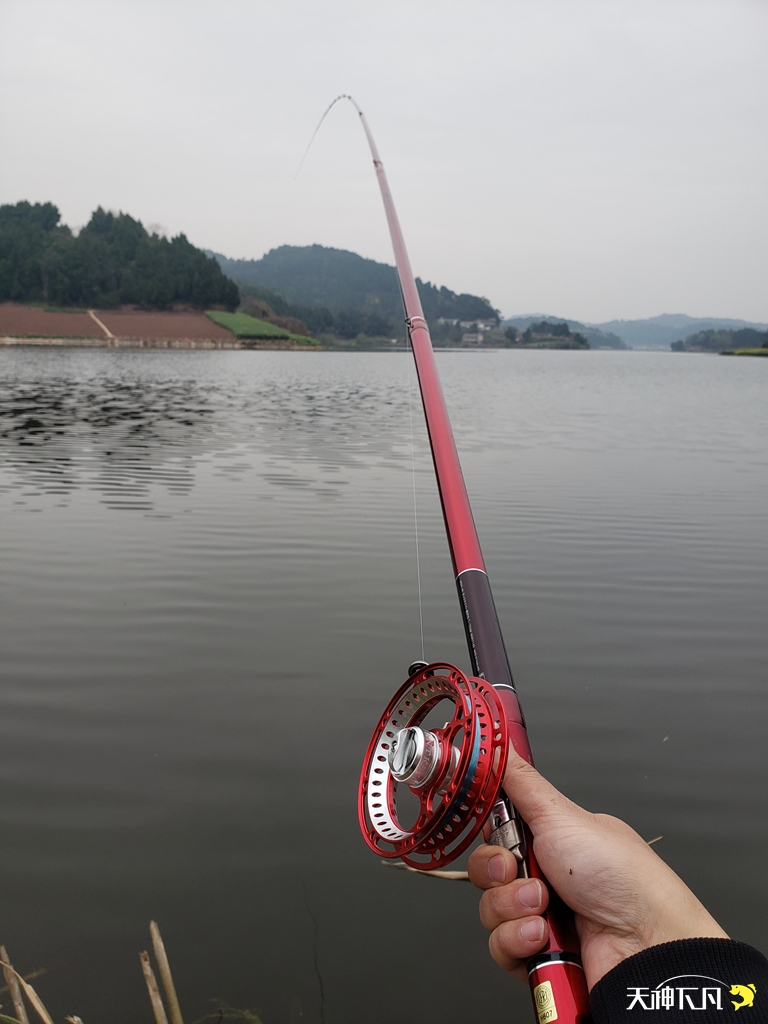 凤凰涅盘浴火重生对火的崇拜,凤凰涅盘浴火重生需要的是勇气