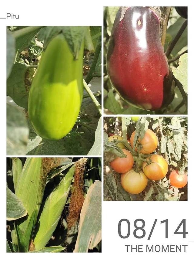 南北疆深度环线8日游,南北疆30天旅游攻略