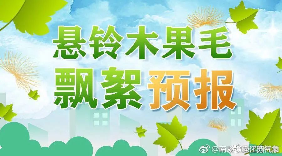 又见梧桐诗词,又见梧桐飘絮完整版