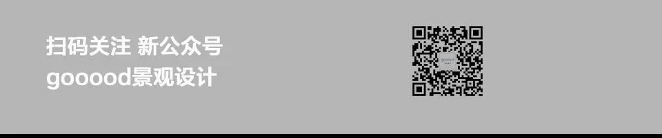 喜茶万象城预售,喜茶万象城店铺