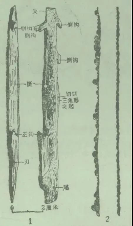 舌尖上的中国横县鱼生余师傅,舌尖上的美食之横县鱼生