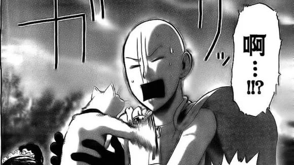 猫是当代年轻人的精神寄托,为什么说猫是最完美的猎手