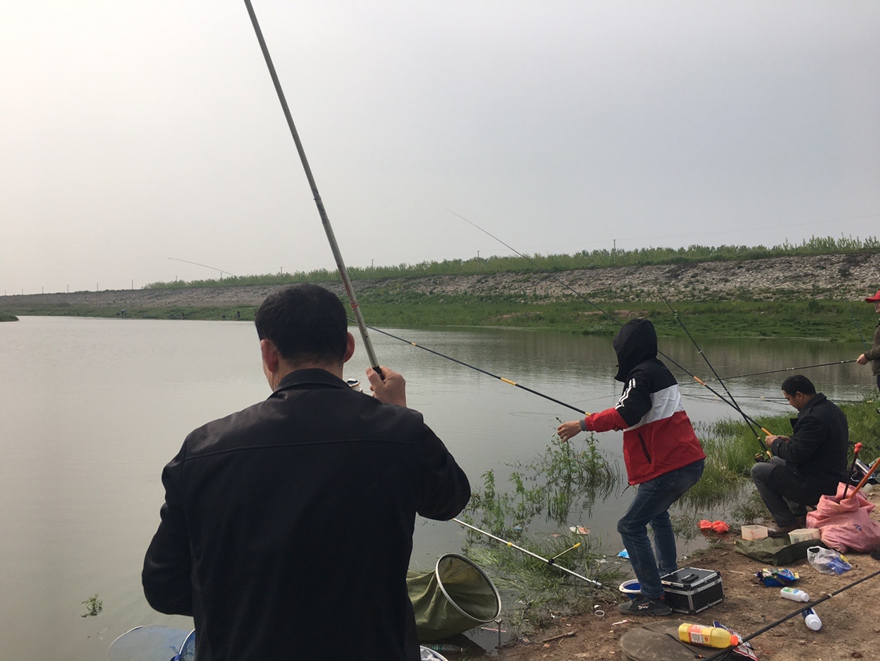 锵锵三人行余秀华读诗,锵锵三人行马未都邓亚萍