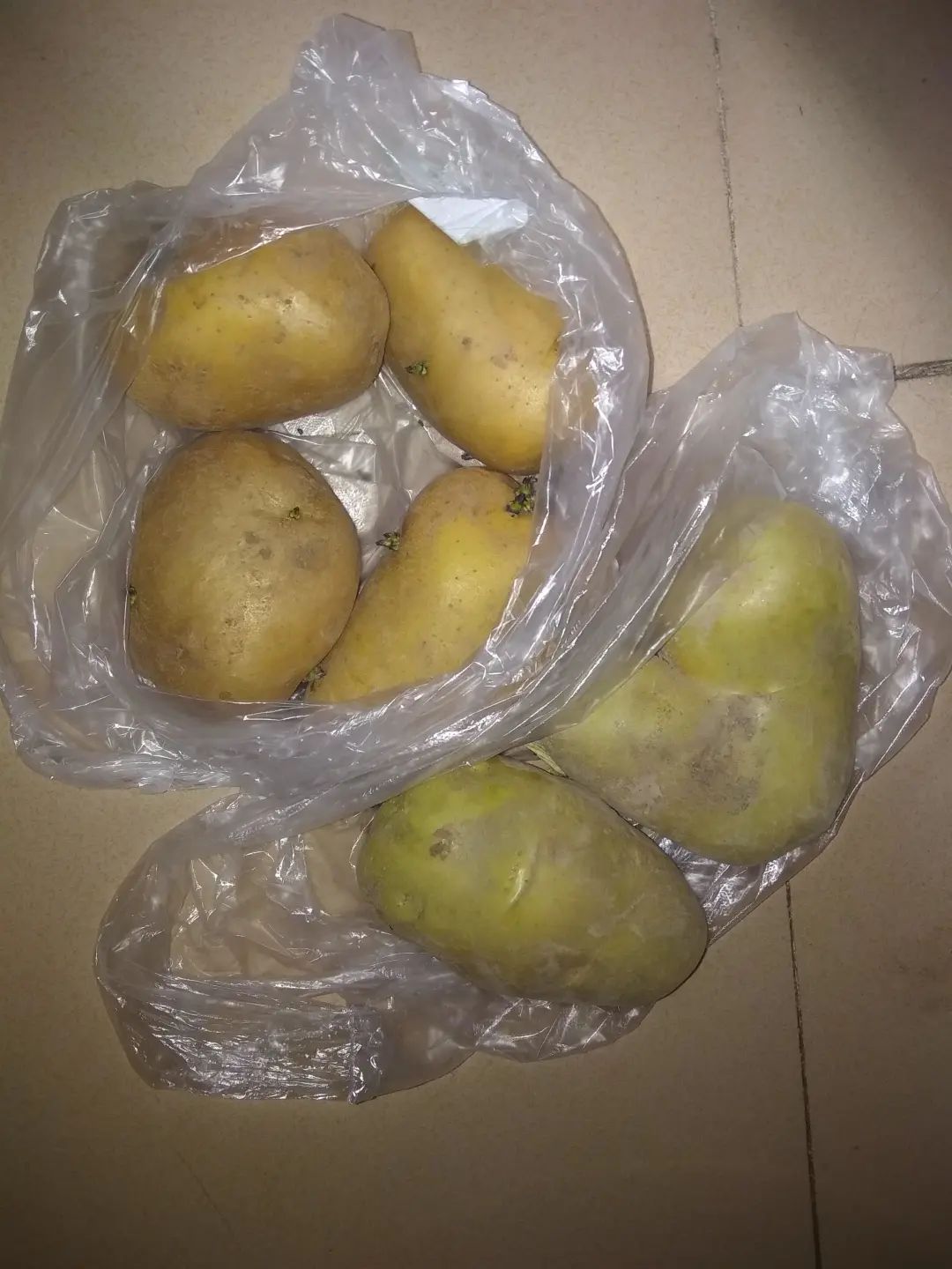 疫情期间，我的生活状态散记