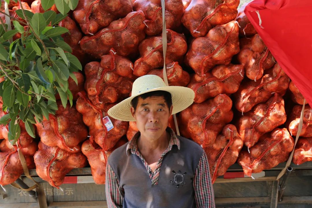 红皮洋葱低价走货,云南紫皮洋葱现挖现发5斤9斤包邮