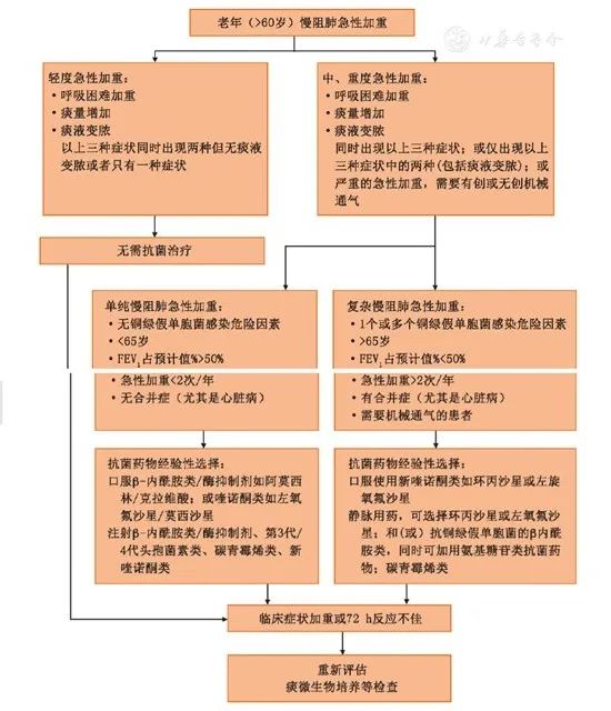 慢性阻塞性肺疾病诊治指南2021,老年慢性阻塞性肺疾病处方