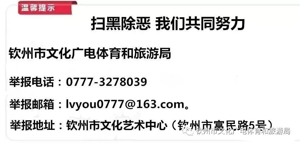 茶香禅韵入梦完整视频,世外桃源神仙度假地