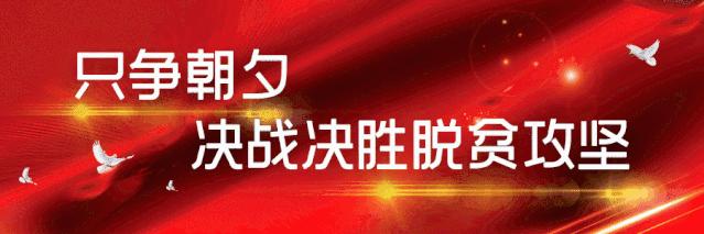 重要公告模板,重要公告最新