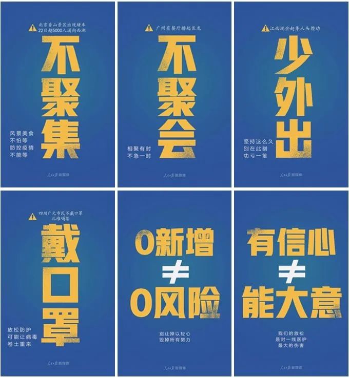 「丽江宠圈」身价4万！曾获各种大奖，丽江这些猫咪不简单