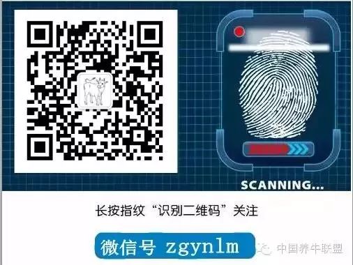 养羊的销路及利润分析,养羊用什么销售渠道好些