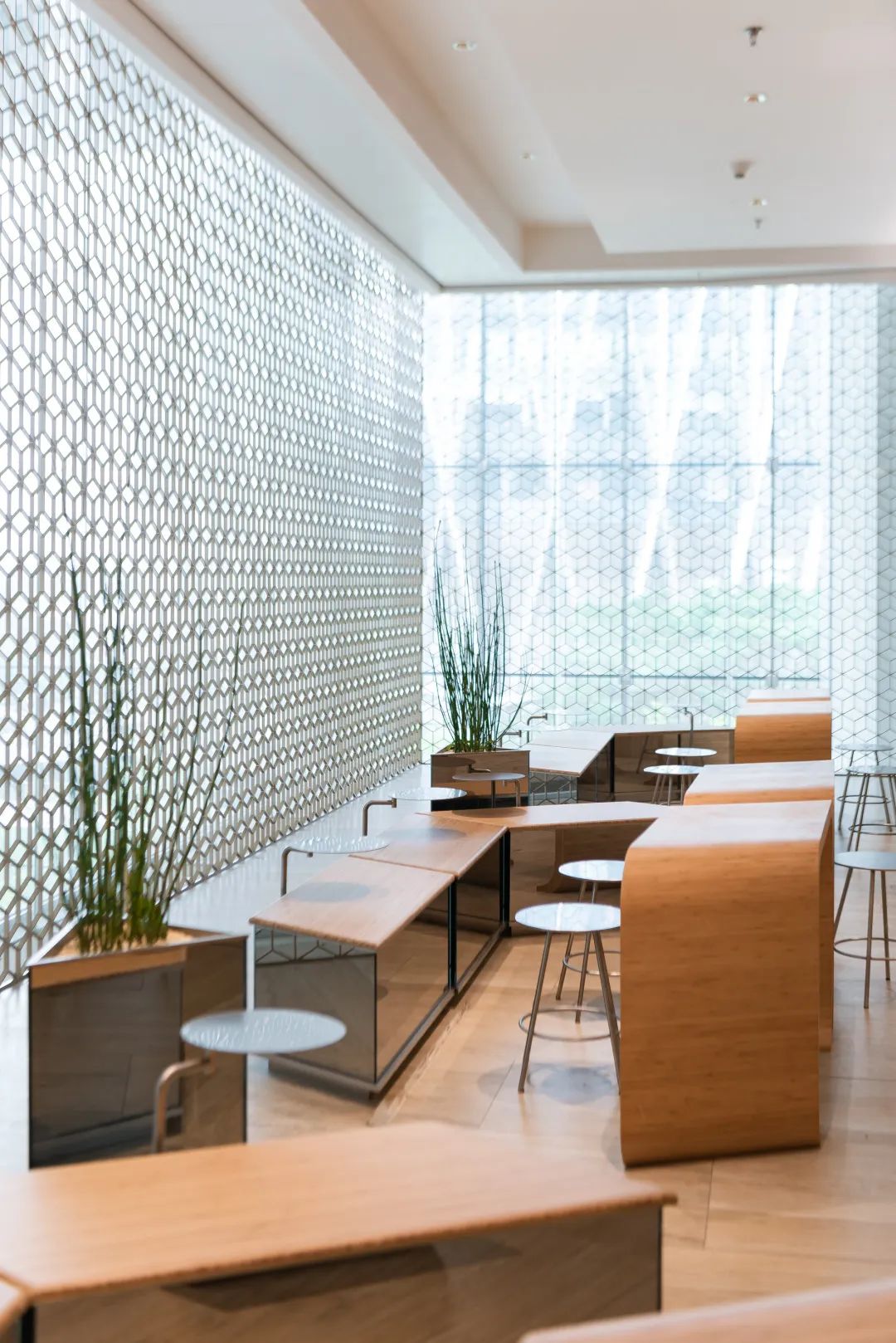 深圳很难买到的奶茶多少钱,深圳哪家奶茶最贵