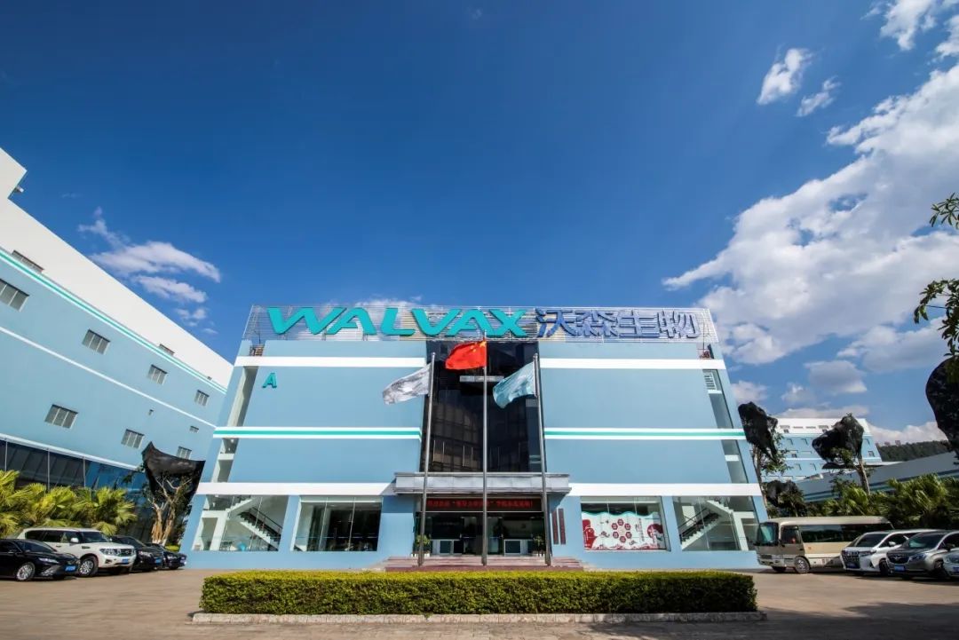 新型肺炎疫苗上市,中国新冠肺炎疫苗首次上市