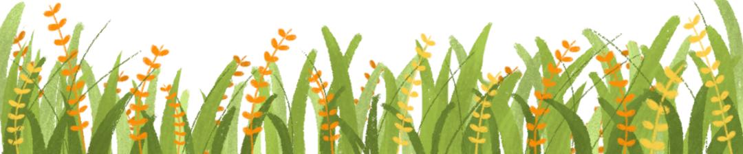 四季在变换唯一不变,四季在变唯有初心不变